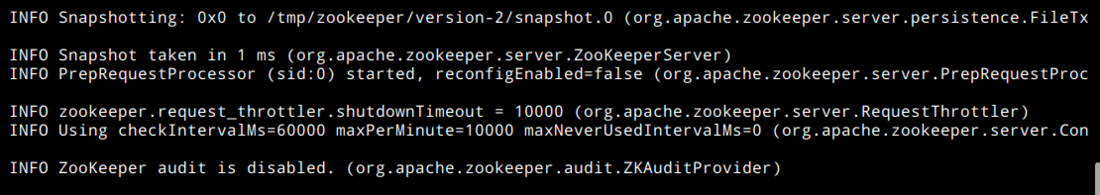 Zookeeper is successfully started.