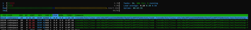 htop is successfully running on the remote machine