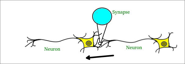 Artificial neural network1