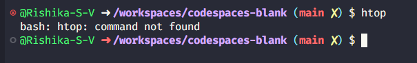 Htop command is not in the remote machine