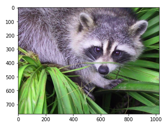 imread image scipy