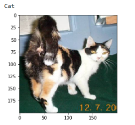 Cat Output 