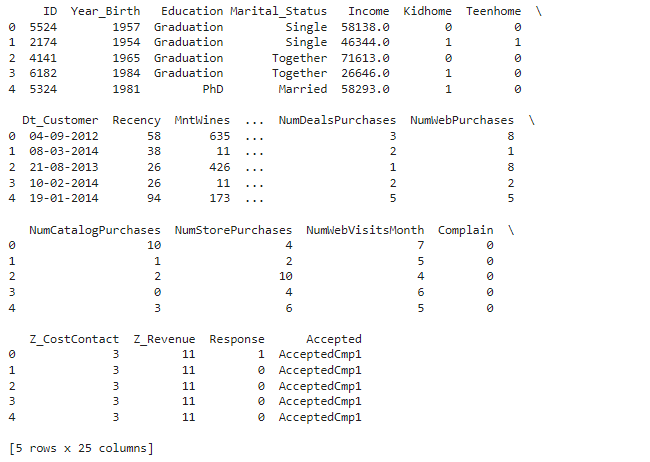 Customer Segmentation using Unsupervised Machine Learning - Input
