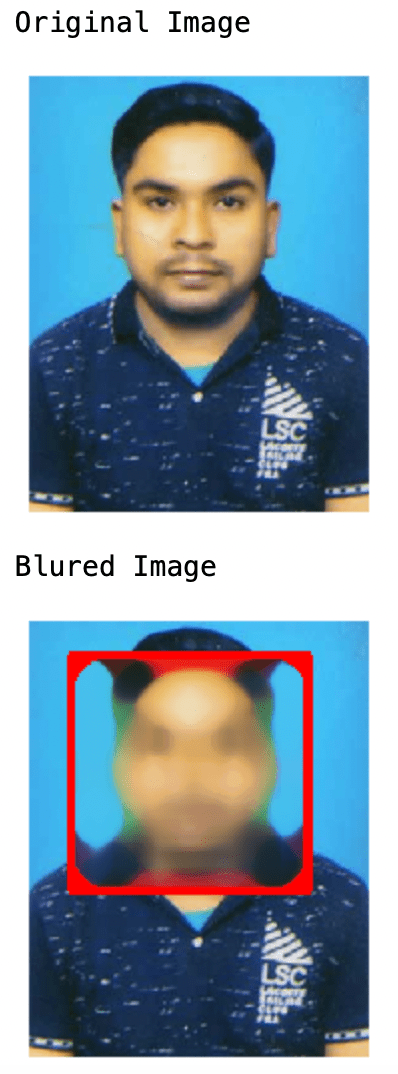Blur the faces in Images using OpenCV in  Python