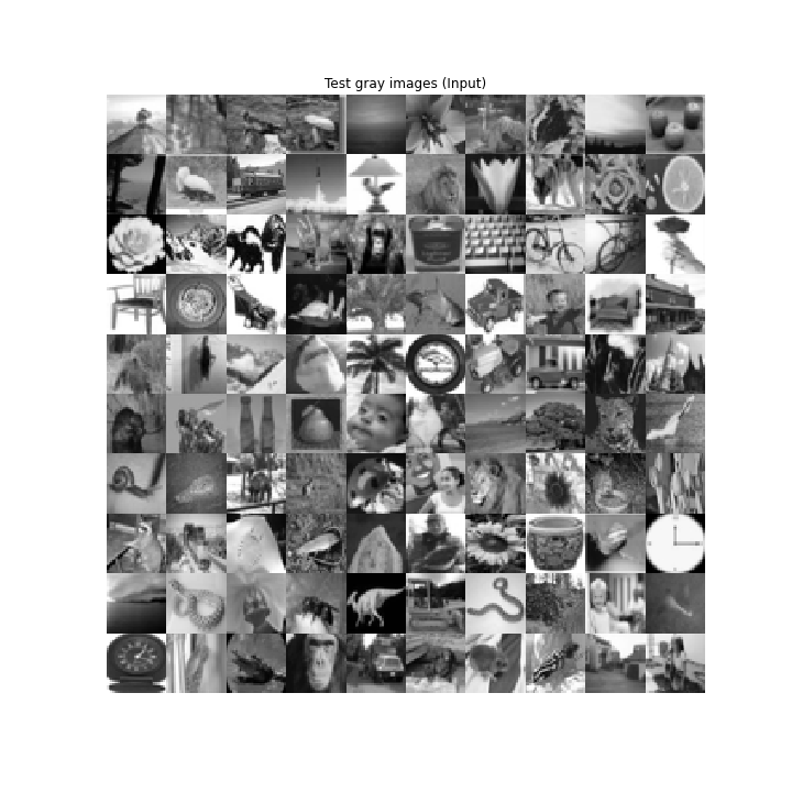 Grayscale input