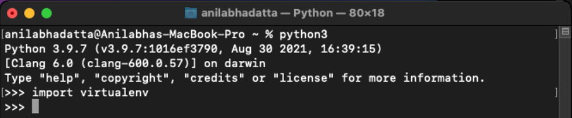 Verifying virtual environment installation on macOS