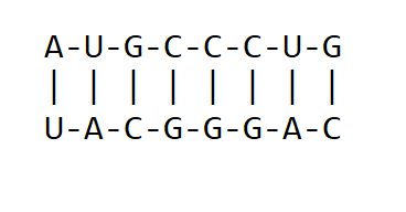 Reverse complement of DNA strand using Python