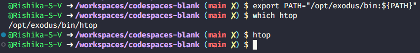 Verifying that  the htop is installed and executing it