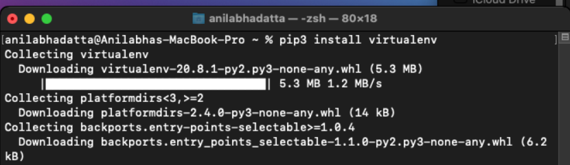 installing virtual environment package on macOS using pip