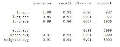 Classification Report for the Validation Data