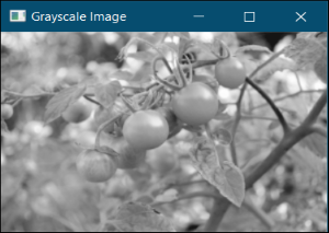 Grayscaling of Images using OpenCV