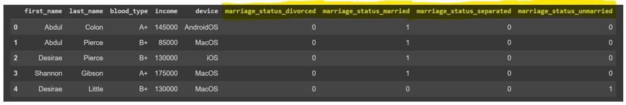 Handling Categorical Data in Python