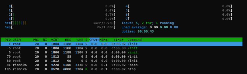 Htop executing in local machine