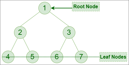 Binary Tree