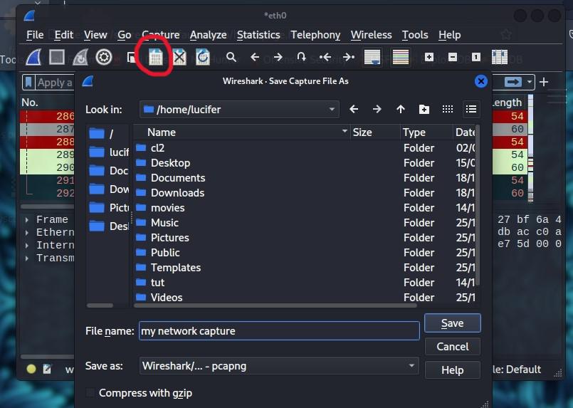Saving Capture