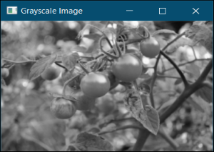 Grayscaling of Images using OpenCV