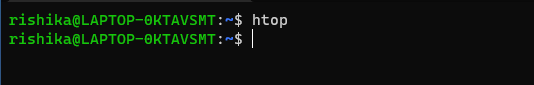 We have already installed htop on our local machine