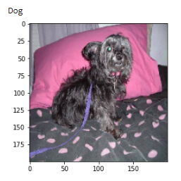 Dog Output
