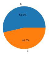 Pie chart for data distribution across two labels